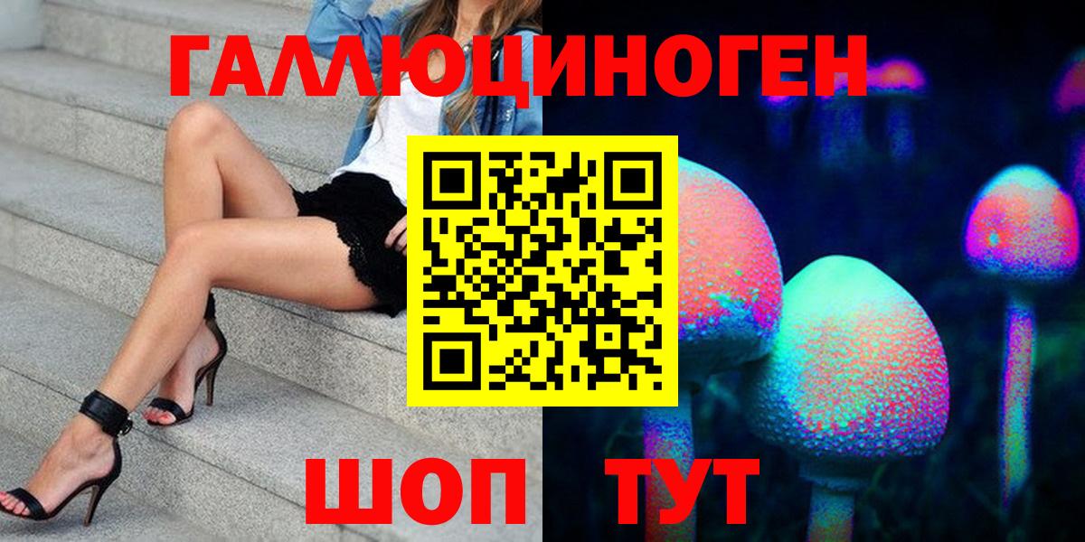 купить наркоту  Псилоцибиновые грибы GOLDEN TEACHER  Вход с VPN  Черкесск 